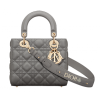 Сумка Christian Dior Lady ABCDior Cannage Stone Gray